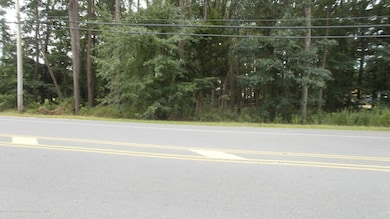 3921 Ridgeway Rd, Lakehurst, NJ 08759 - photo 3