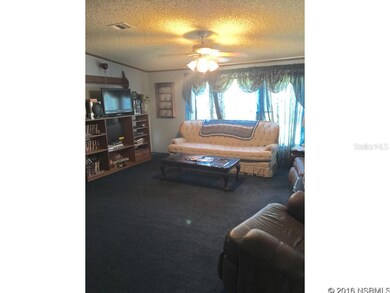 4692 Cedar Rd, New Smyrna Beach, FL 32168 - photo 6