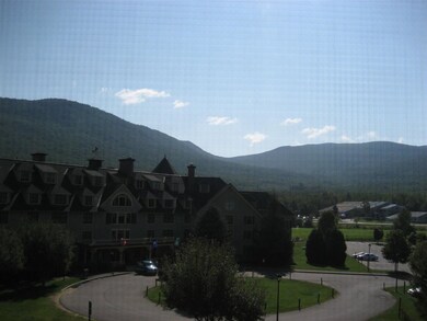 28 Packards Rd unit 537, Waterville Valley, NH 03215 - photo 3