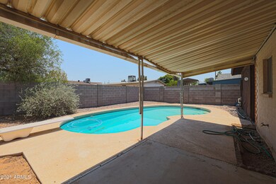 back yard