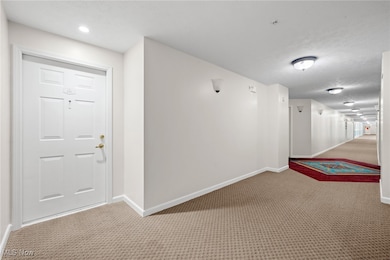 23003 Chandlers Ln unit 230, Olmsted Falls, OH 44138 - photo 6