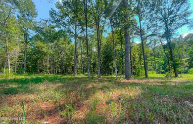 174 Hunter's Cove, Madison, MS 39110 - photo 6