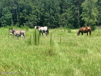 0 Lucky Ln unit 1068157, Middleburg, FL 32068 - photo 3