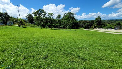 111 Carr Prairie, San Sebastián, PR 00685 - photo 5