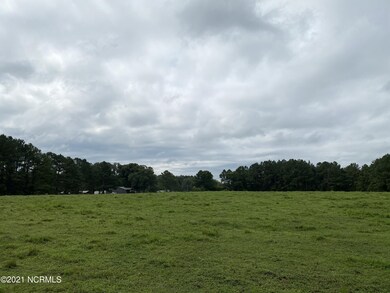 1069 Reed Rd, Castalia, NC 27816 - photo 3