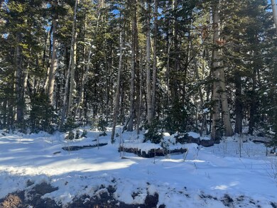 0 Falcon Ct unit CBME unit c lots 68, Brian Head, UT 84719 - photo 2