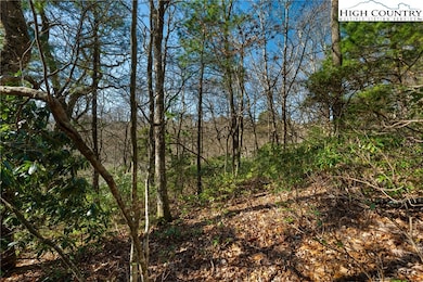 Lot 61 Boone Coffey Trail, Boone, NC 28607 - photo 7