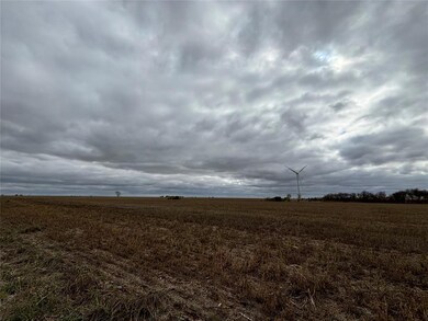 View of local wilderness with a rural view