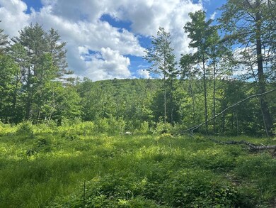 lot #2 Rowentown Rd, Wentworth, NH 03282 - photo 2