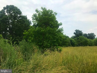 TBD Palmyra Church Rd, Edinburg, VA - photo 2