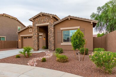 0004-Desert Broom 4
