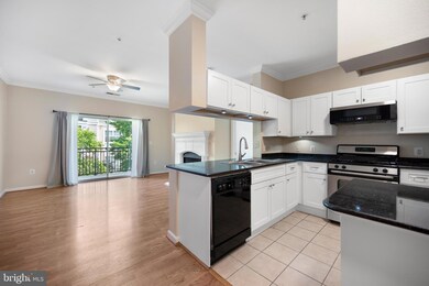 12909 Centre Park Cir unit 304, Oak Hill, VA 20171 - photo 5