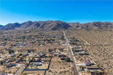 7201 Olympic Rd, Joshua Tree, CA 92252 - photo 3