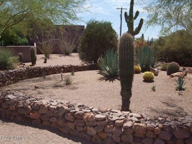 ANOTHER VIEW OF FRONT YARD