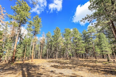 27551 Molly Dr, Richmond Hill Corridor, CO 80433 - photo 7