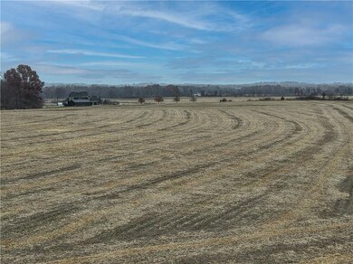 Tract 1 S Pryor Rd, Pleasant Hill Township, MO 64080 - photo 6