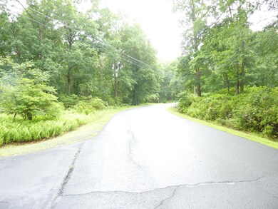 188 Conashaugh Trail, Milford, PA 18337 - photo 4