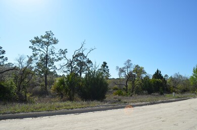 000 Yates Creek Rd unit 2, Perry, FL 32348 - photo 4