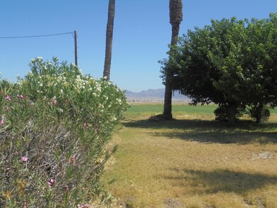 6260 N Lovekin Blvd, Blythe, CA 92225 - photo 7