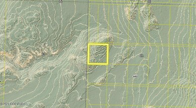 Tr 29 Tomski, Anchor Point, AK 99556 - photo 4