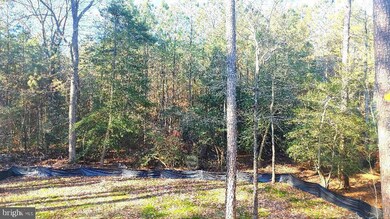 120 Touhey Dr, Stevensville, MD 21666 - photo 3