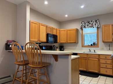 195 Mann Rd unit 12, Wilmington, VT 05363 - photo 7