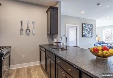 455 Livingston St unit 313, Norwood, NJ 07648 - photo 4