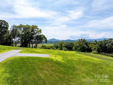 202 Soapstone Trail unit 68, Mills River, NC 28759 - photo 7