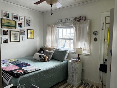 51 Windsor Rd, Medford, MA 02155 - photo 3