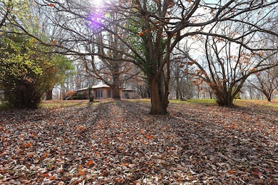 600 S Main St, Edmonton, KY 42129 - photo 4