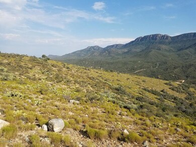 View of El Capitan