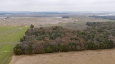 1 Mopac Rd, Brinkley, AR 72021 - photo 7