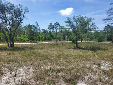 157 Pine Ln, Freeport, FL 32439 - photo 4