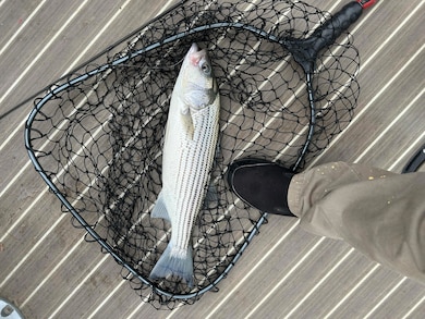 1031 Water Way, Lincolnton, GA 30817 - photo 3