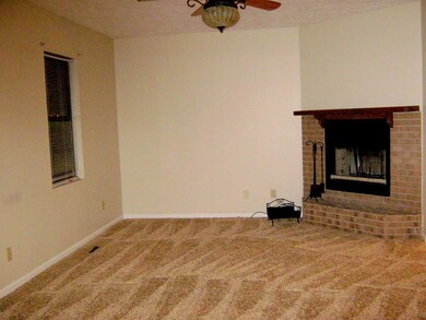 Living Rm-Wood Burning Fire Place