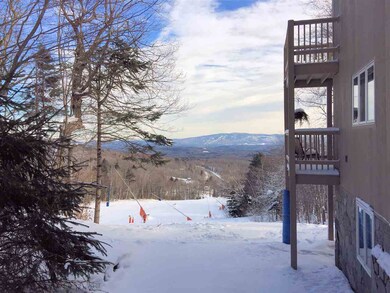 388 Ethan Allen Trail unit B2, Peru, VT 05152 - photo 6