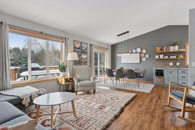 13590 Fiona Ave N, Hugo, MN 55038 - photo 3