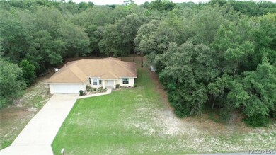 8885 N Gilovu Dr, Citrus Springs, FL 34433 - photo 3