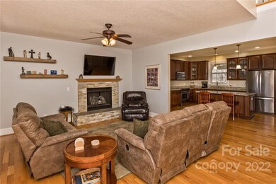 63 Bear Creek Hills Dr, Leicester, NC 28748 - photo 5