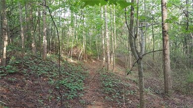 Wooded privacy for your dream home.