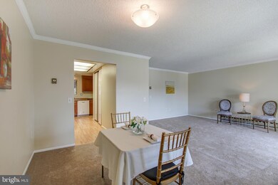 15400 Bassett Ln, Silver Spring, MD 20906 - photo 7