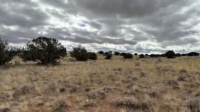 7565 Cedar Ln, Snowflake, AZ 85937 - photo 7