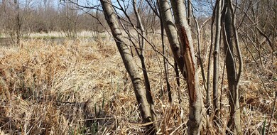 20190424_105457