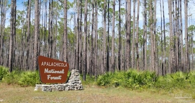 0 Lot 2 State Rd, Tallahassee, FL 32310 - photo 5