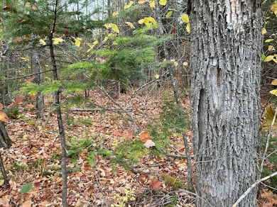 0 Silvers Mills Rd unit LotWP001 23320211, Sangerville, ME 04479 - photo 4