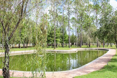 IMG_0006