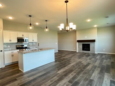 8642 147th Ave NW, Ramsey, MN 55303 - photo 6