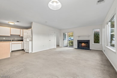 141 Falcon Ridge Way N unit 1, Hamburg, NJ 07419 - photo 5