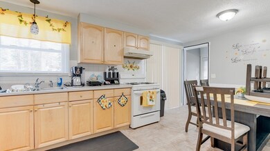 137 Feltham Rd, Springfield, MA 01118 - photo 6