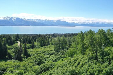 35887 Cloverdale Cir, Fritz Creek, AK 99603 - photo 2